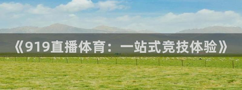 《919直播体育：一站式竞技体验》