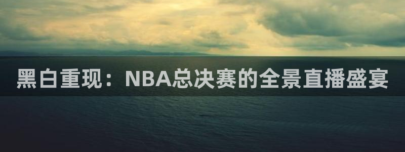 黑白重现：NBA总决赛的全景直播盛宴