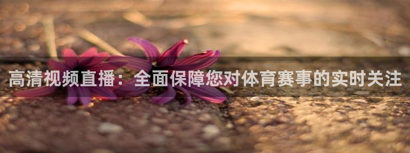 高清视频直播：全面保障您对体育赛事的实时关注