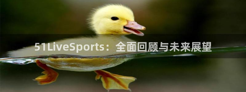 51LiveSports：全面回顾与未来展望
