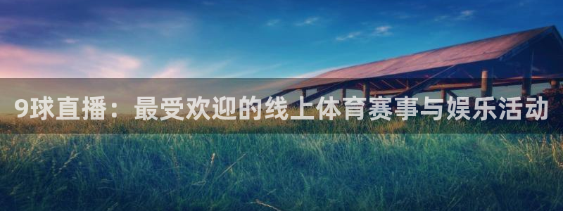9球直播：最受欢迎的线上体育赛事与娱乐活动