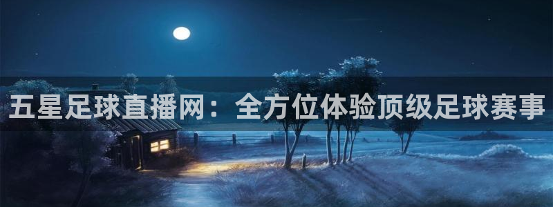 五星足球直播网：全方位体验顶级足球赛事