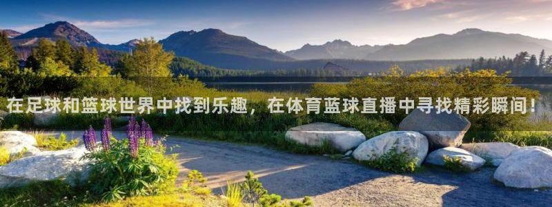 在足球和篮球世界中找到乐趣，在体育蓝球直播中寻找精彩瞬间！
