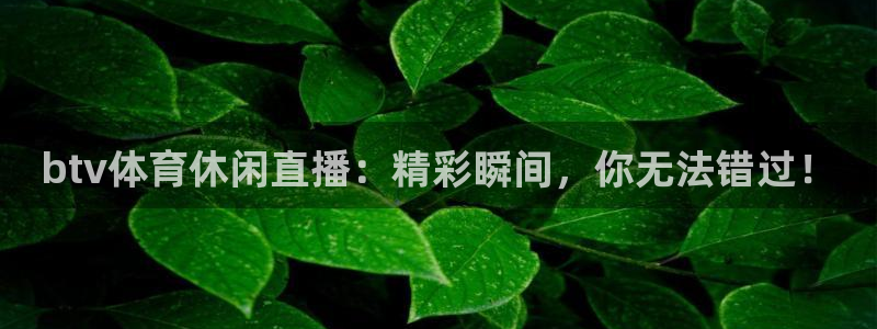 btv体育休闲直播：精彩瞬间，你无法错过！
