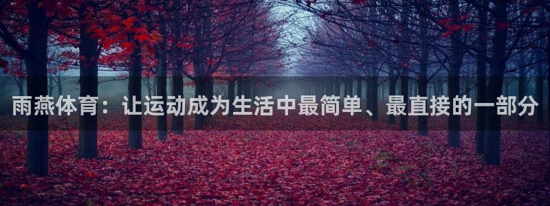 雨燕体育：让运动成为生活中最简单、最直接的一部分