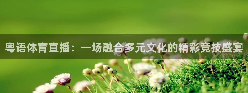粤语体育直播：一场融合多元文化的精彩竞技盛宴