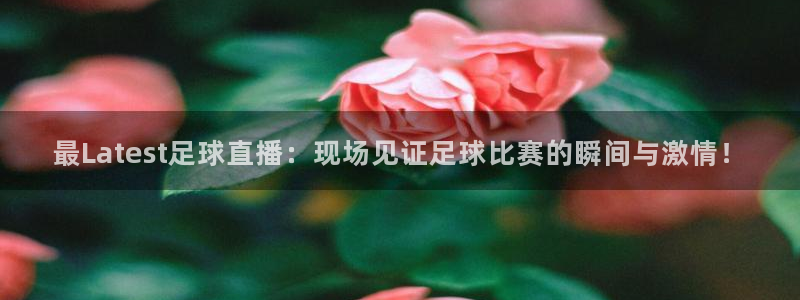 最Latest足球直播：现场见证足球比赛的瞬间与激情！