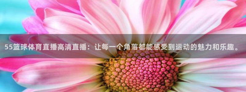 1982年世界杯赛程：55篮球体育直播高清直播：让每一个角落都能感受到运动的魅力