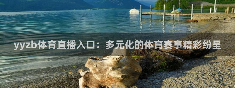 2019年男篮世界杯在哪里举办：yyzb体育直播入口：多元化的体育赛事精彩纷呈
