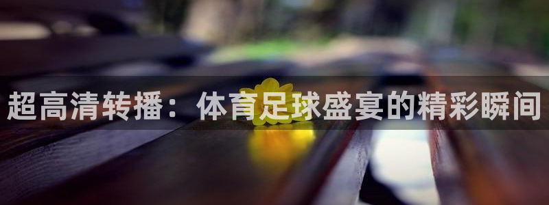 世界杯2024足球：超高清转播：体育足球盛宴的精彩瞬间