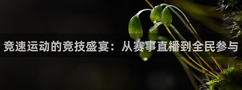 2022世界杯对阵图表