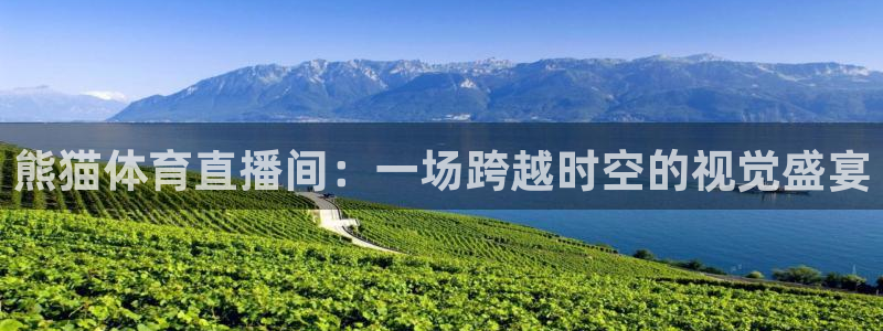 2018年世界杯冠军决赛直播录像：熊猫体育直播间：一场跨越时空的视觉盛宴
