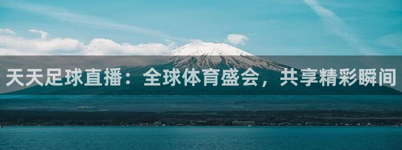 球友直播手机软件：天天足球直播：全球体育盛会，共享精彩瞬间