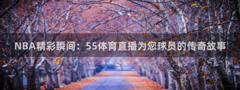 2022世界杯对阵图表：NBA精彩瞬间：55体育直播为您球员的传奇故事