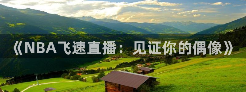 历届乒乓球世界杯冠军一览表：《NBA飞速直播：见证你的偶像》